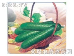 蔬菜種子招商 蔬菜種子代理 蔬菜種子類產品加盟連鎖批發