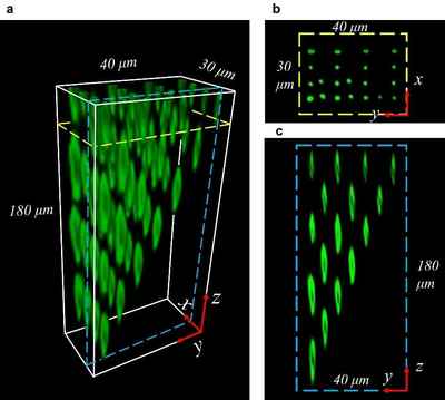 西電物理學院王軍利教授團隊在國際頂級期刊發表新型元件與器件研發突破性成果