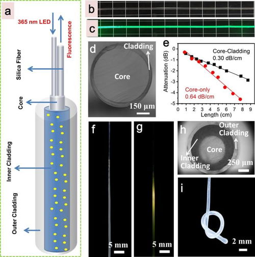 華南理工大學(xué)張勤遠團隊開發(fā)Mn2+摻雜雙波長發(fā)射材料，推動可穿戴光纖溫度傳感器與成像應(yīng)用